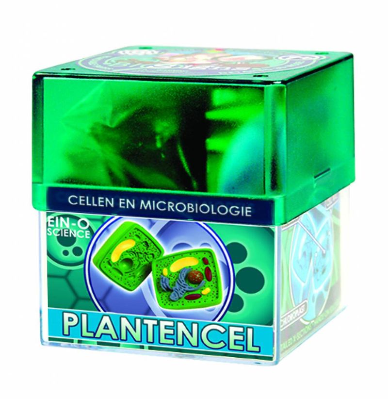 Science Cellen Biologie Plantencel