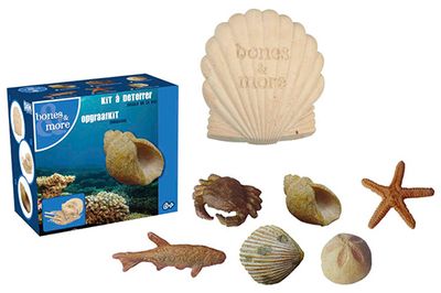 Dig it Out: Mini Sea-Life Fossil